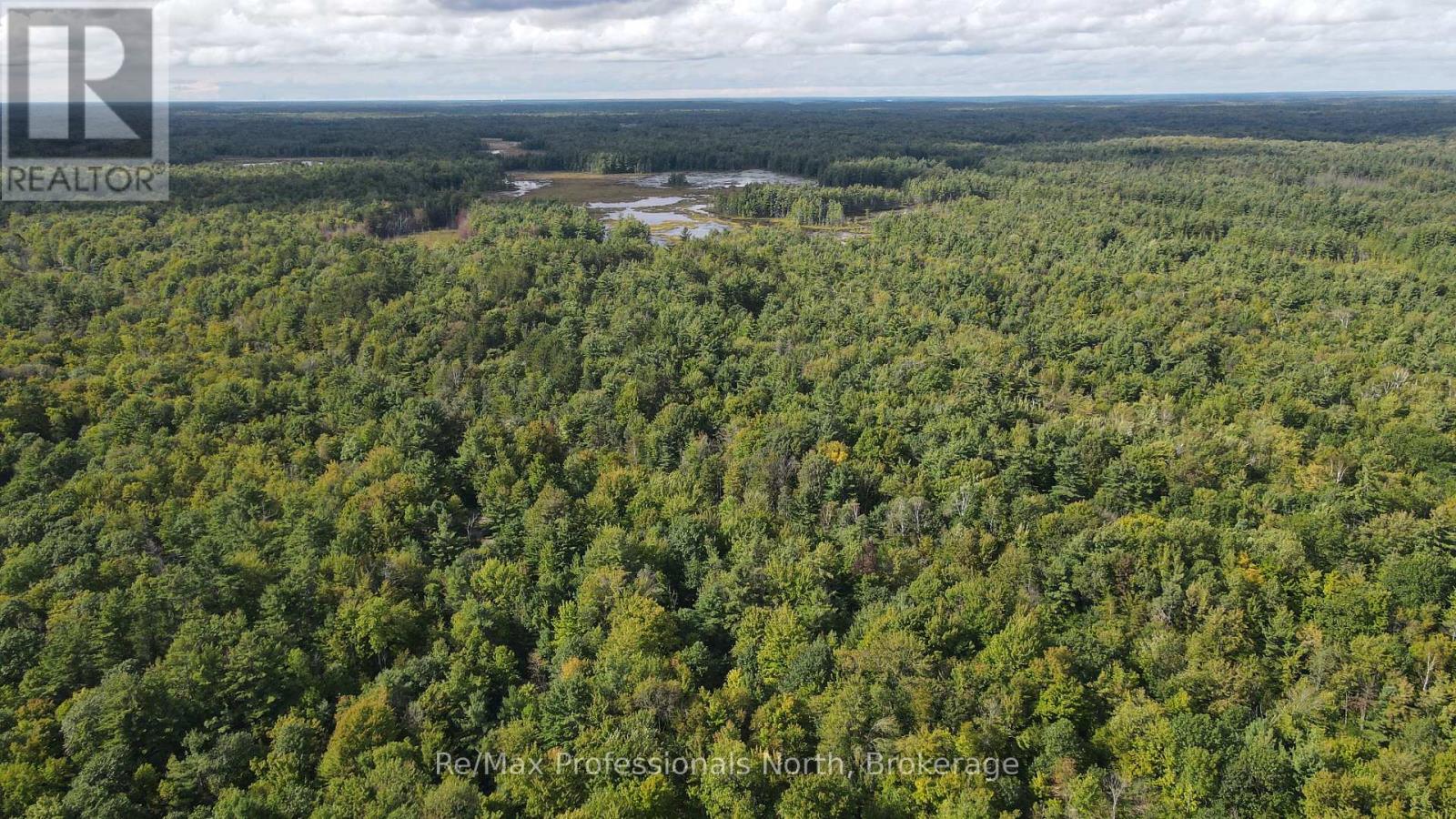 1268 Moon River Road, Muskoka Lakes, Ontario L0K 1E0 - Photo 4 - X13783826