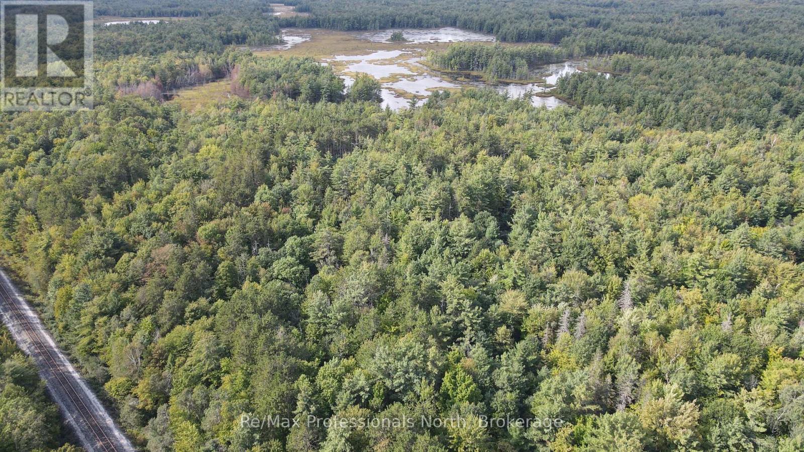 1268 Moon River Road, Muskoka Lakes, Ontario L0K 1E0 - Photo 5 - X13783826