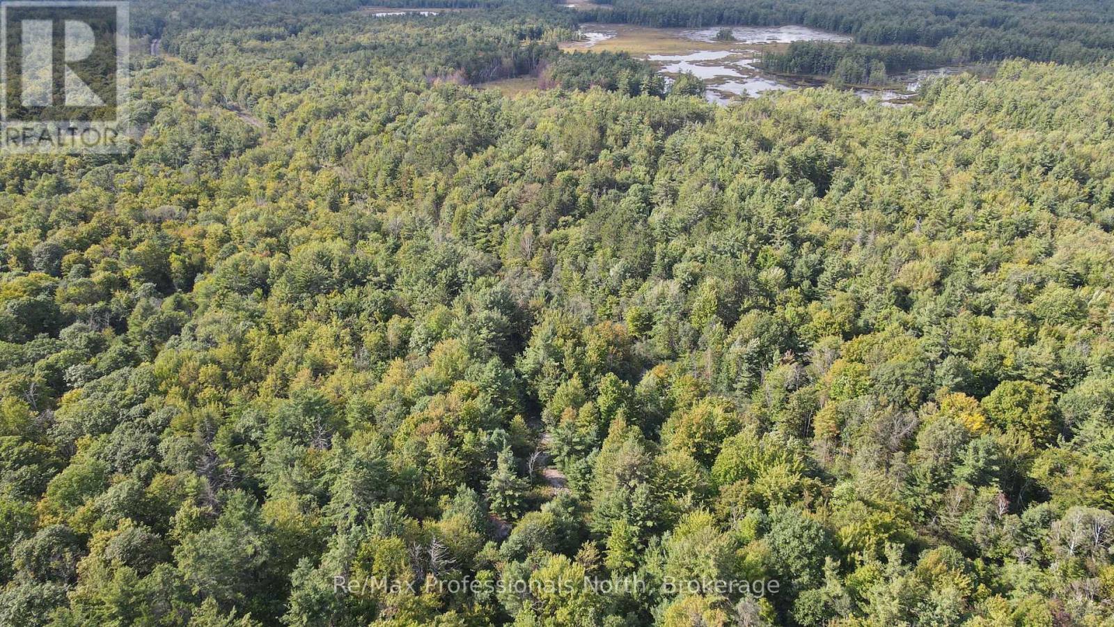 1268 Moon River Road, Muskoka Lakes, Ontario L0K 1E0 - Photo 9 - X13783826