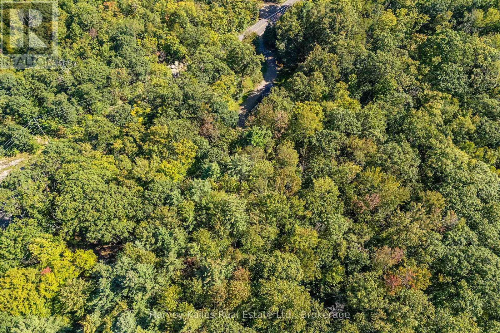 1184 Eveleigh Road, Muskoka Lakes, Ontario  P0B 1J0 - Photo 40 - X13788528