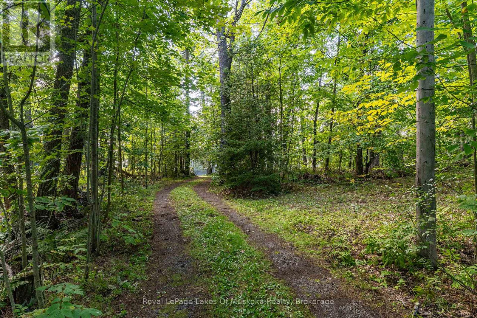 1106 Clear Lake Road, Muskoka Lakes, Ontario  P0C 1M0 - Photo 2 - X13790128