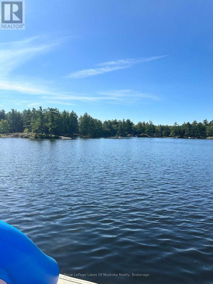 12 Severn River Shore, Muskoka Lakes, Ontario  P0C 1M0 - Photo 4 - X13791278