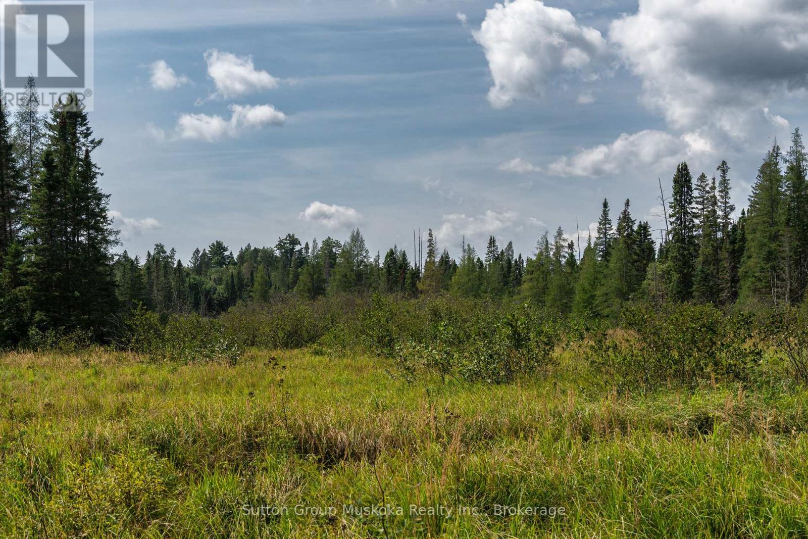 2360 Etwell Road, Huntsville, Ontario P1H 2J2 - Photo 4 - X13795180