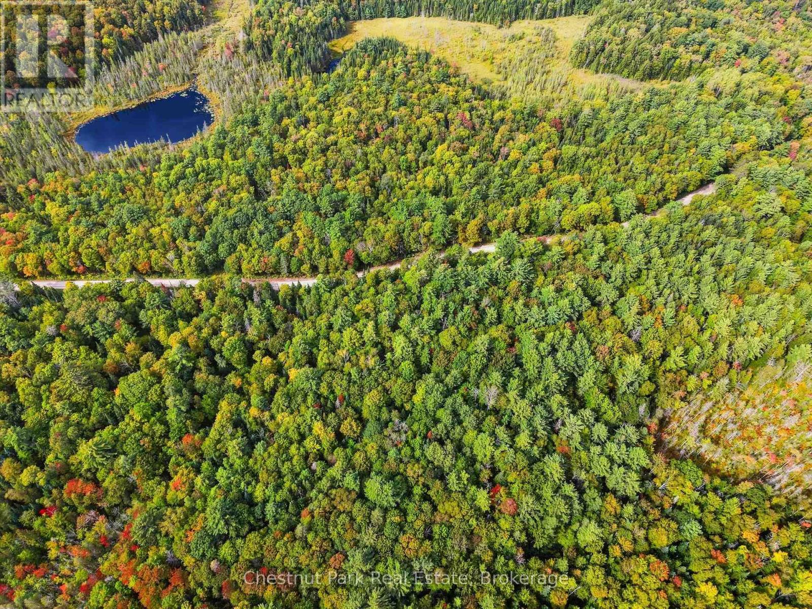 00 Paint Lake Road, Lake Of Bays, Ontario  P0B 1A0 - Photo 1 - X13803918
