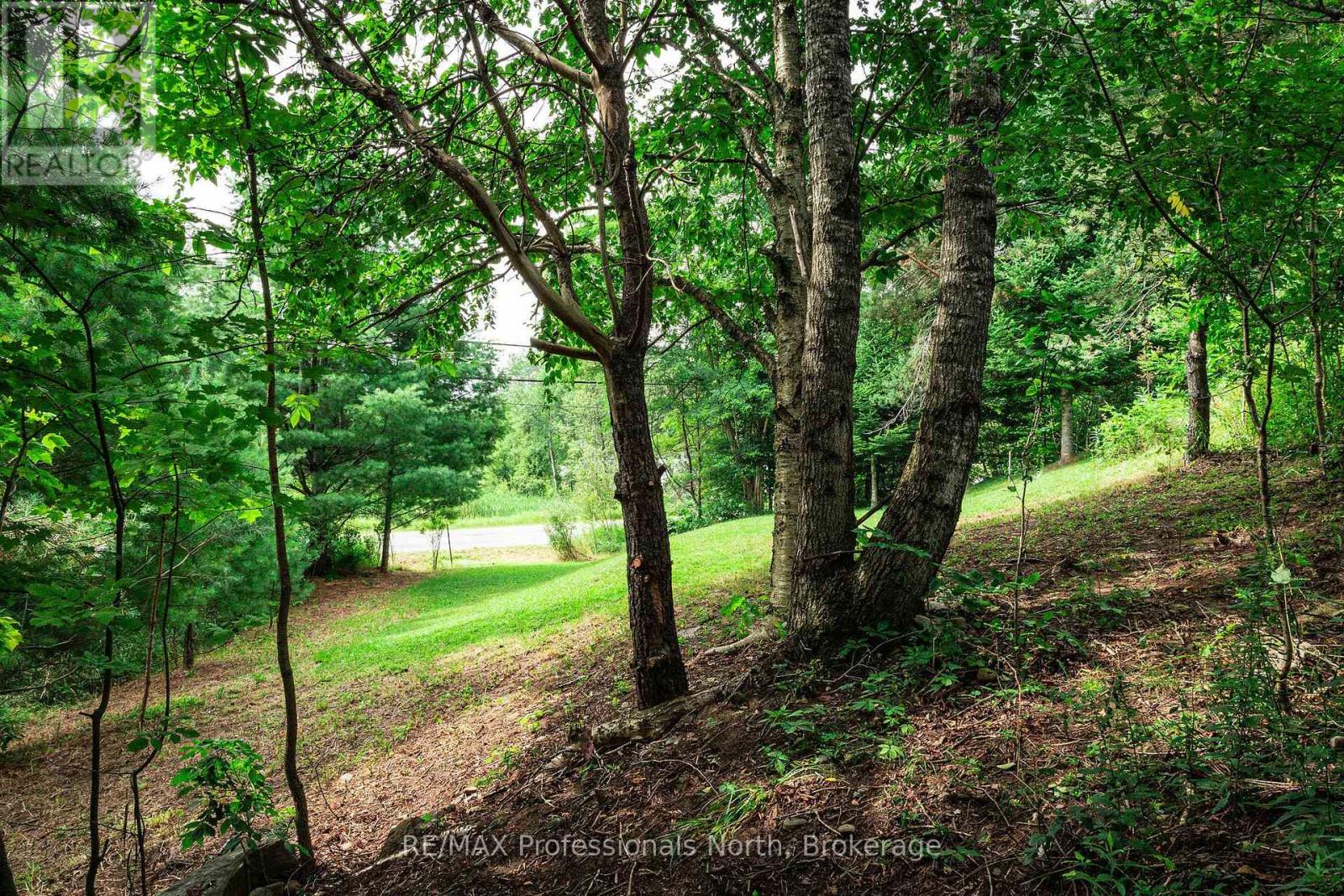 0 Townline Road, Huntsville, Ontario  P1H 1S7 - Photo 2 - X13811304