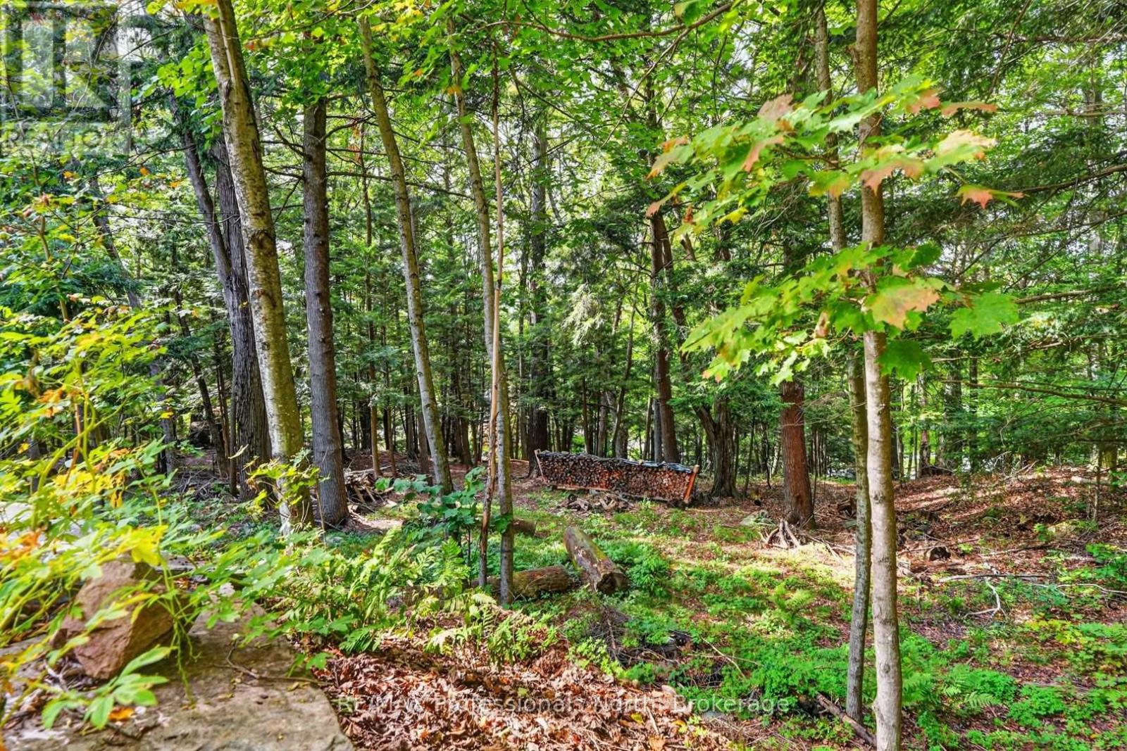 55 Westvale Drive, Bracebridge, Ontario  P1L 1B3 - Photo 39 - X13825016