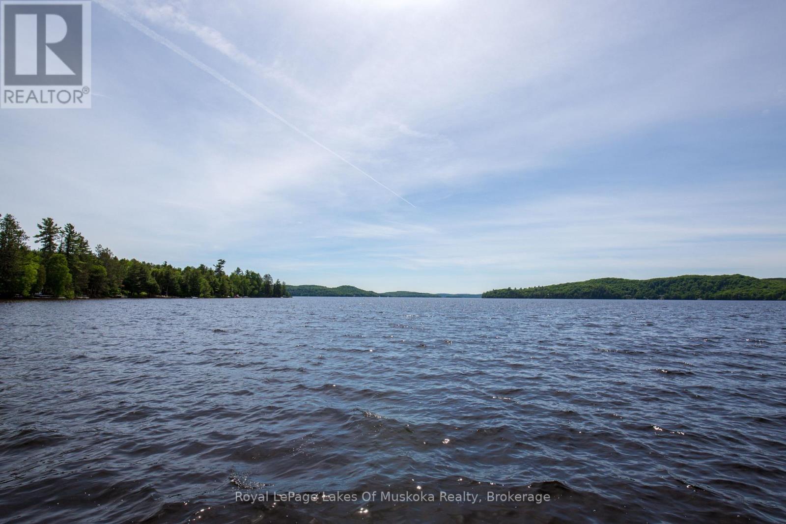 9 - 1111 Dwight Beach Road, Lake Of Bays, Ontario  P0A 1H0 - Photo 24 - X13825600