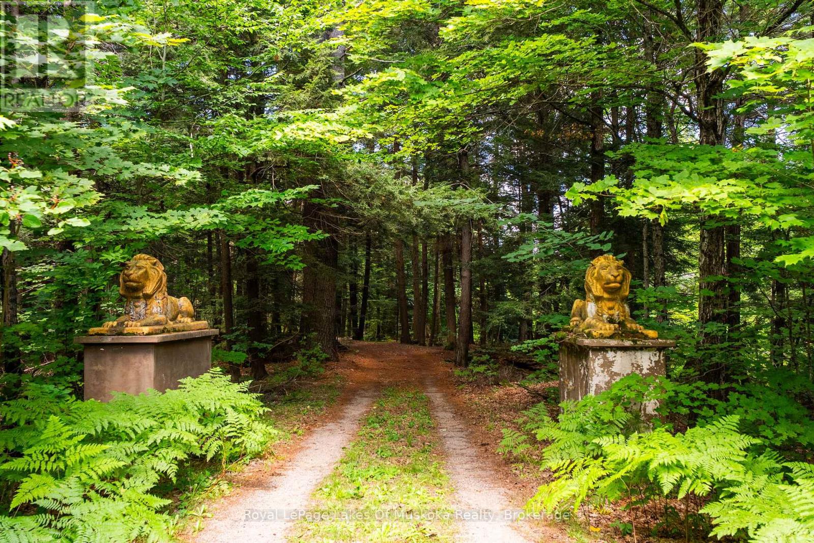 1521 Old Hwy 117, Lake Of Bays, Ontario  P0B 1A0 - Photo 45 - X13830728