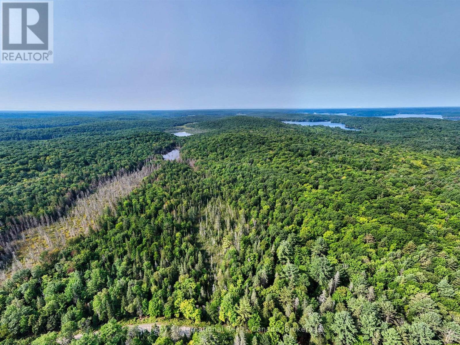 1045 B Browns Brae Road, Lake Of Bays, Ontario  P0B 1A0 - Photo 3 - X13830984
