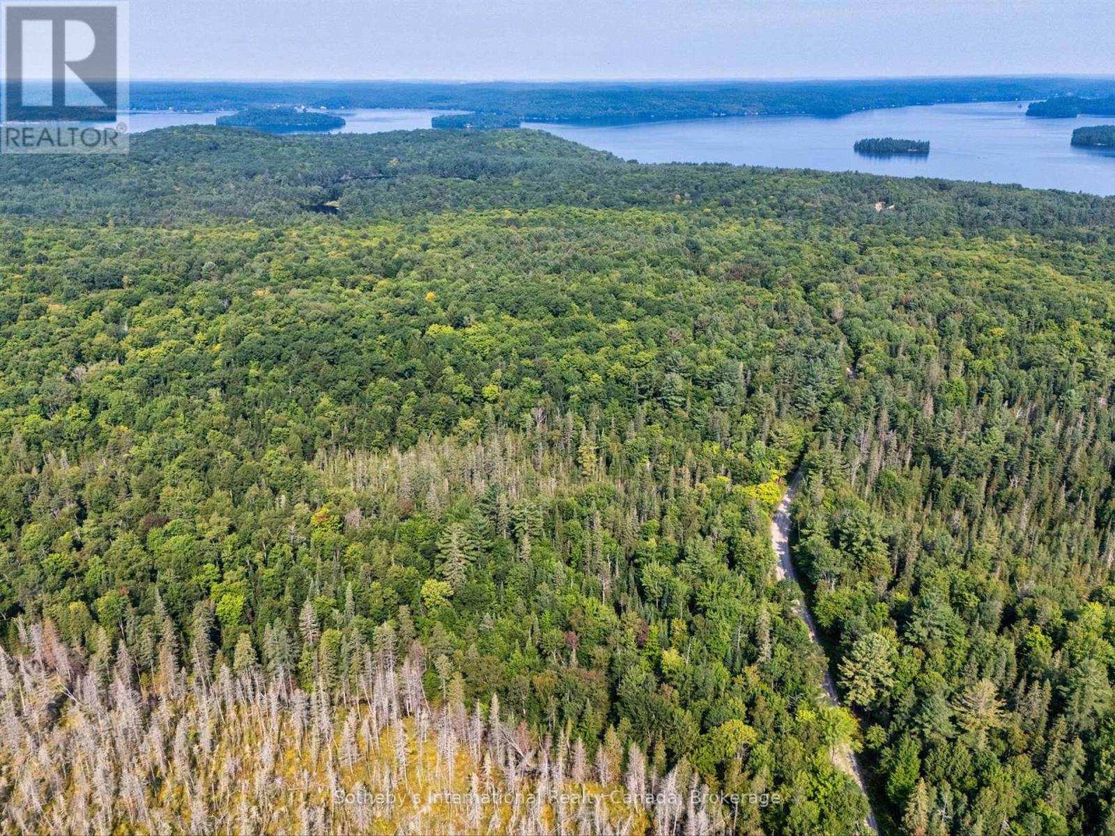 1045 B Browns Brae Road, Lake Of Bays, Ontario  P0B 1A0 - Photo 4 - X13830984