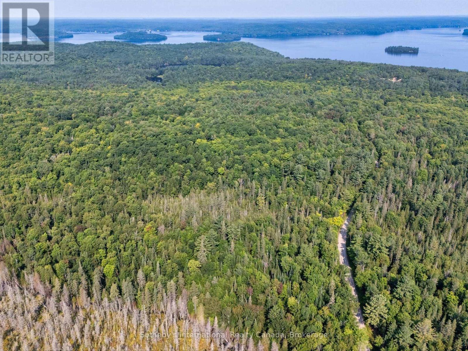1045 B Browns Brae Road, Lake Of Bays, Ontario  P0B 1A0 - Photo 6 - X13830984