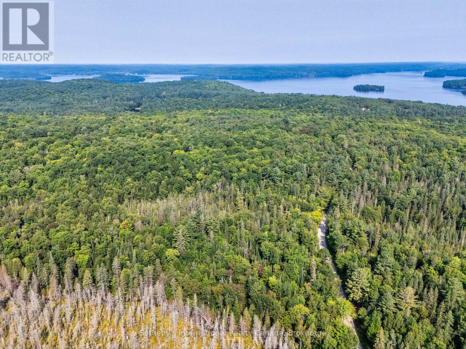 1045 B Browns Brae Road, Lake Of Bays, Ontario  P0B 1A0 - Photo 9 - X13830984