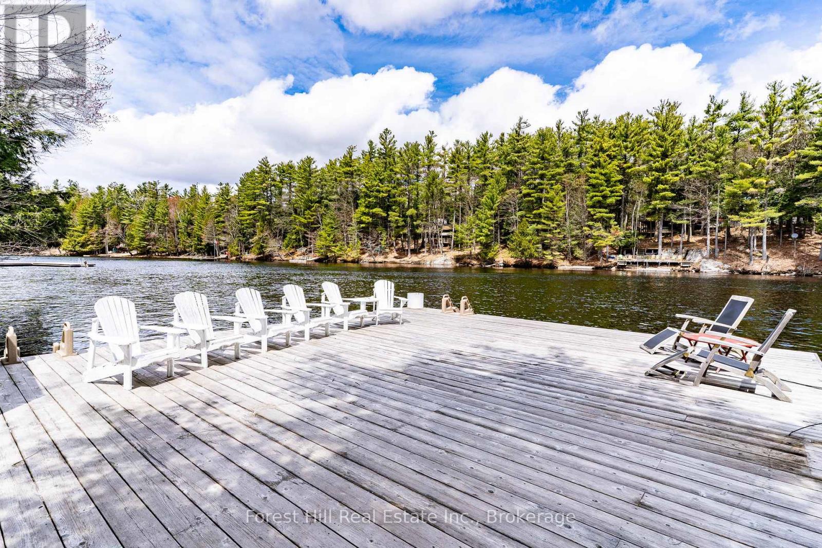 13-1630 Muskoka District Road 38 Road, Muskoka Lakes, Ontario P0C 1A0 - Photo 4 - X13831598