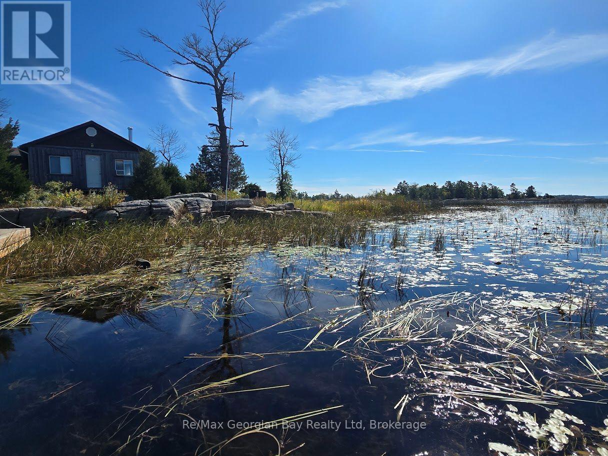 380 2 Island, Georgian Bay, Ontario  L0K 1S0 - Photo 29 - X13841908