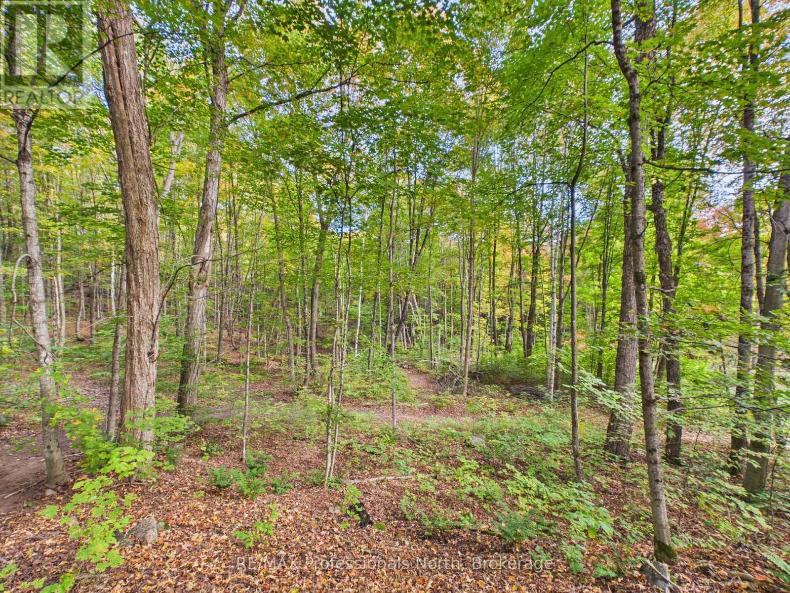 4226 Aspdin Road, Muskoka Lakes, Ontario  P0B 1M0 - Photo 38 - X13850156
