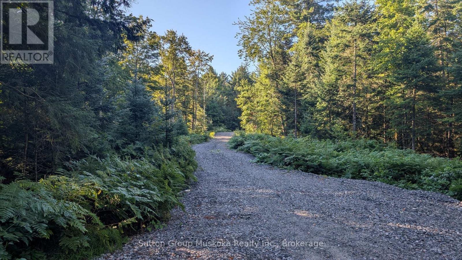 194 Clarkes Lane, Huntsville, Ontario P0B 1M0 - Photo 5 - X13861460