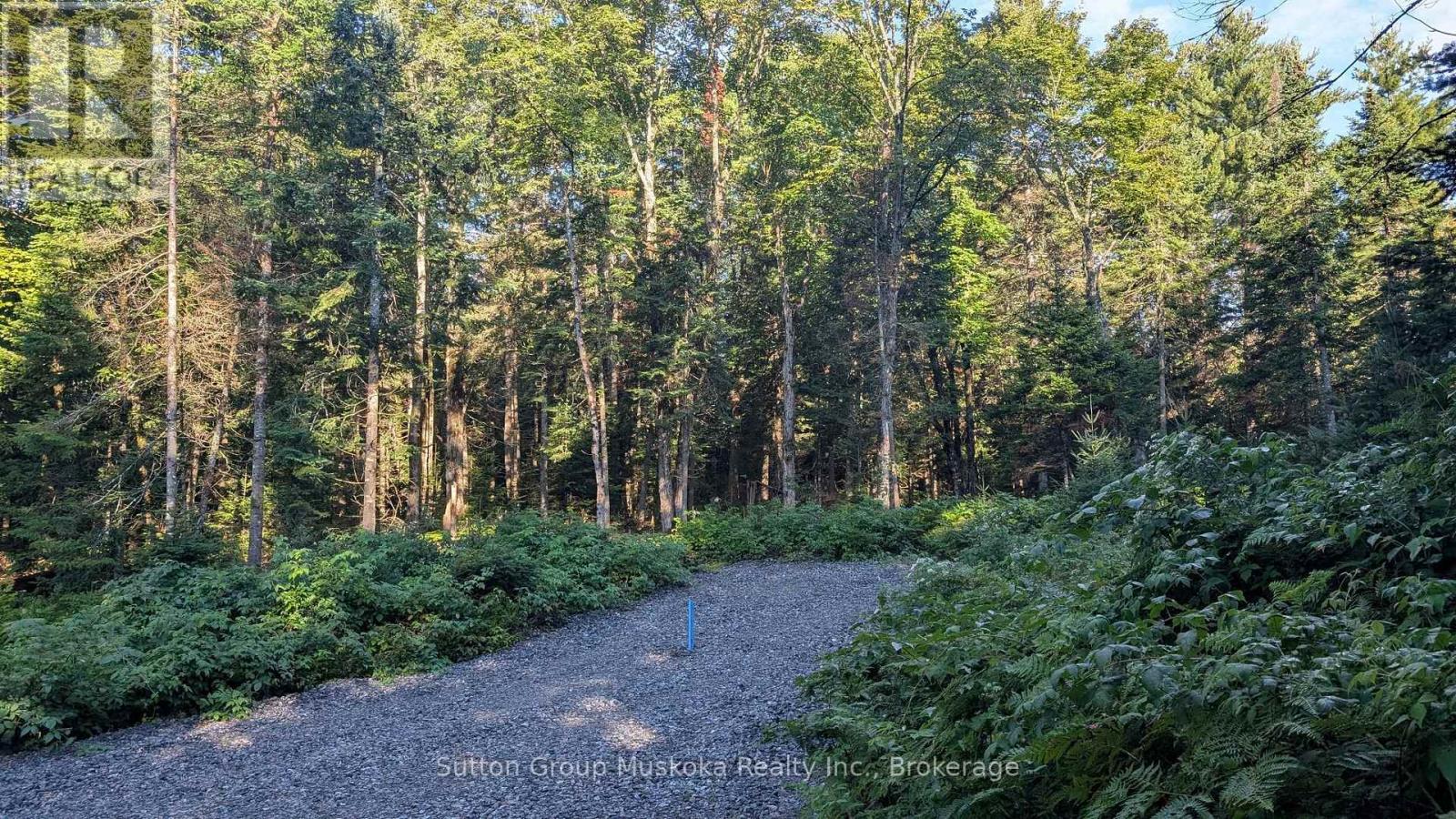 194 Clarkes Lane, Huntsville, Ontario P0B 1M0 - Photo 6 - X13861460