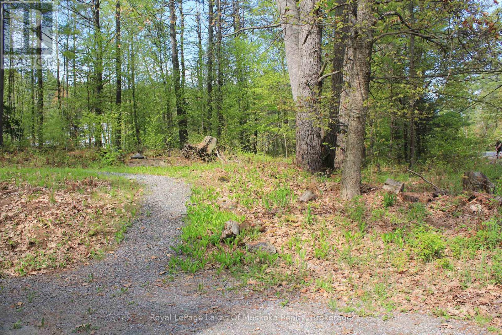886 Muskoka 10 Road, Huntsville, Ontario P0B 1L0 - Photo 11 - X13865918