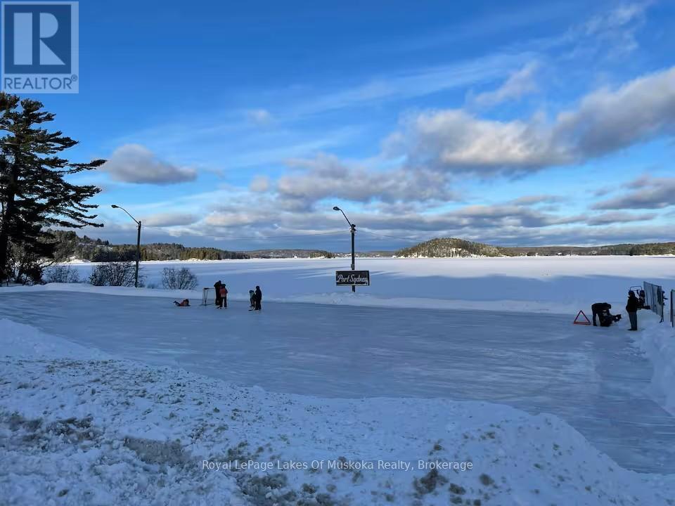 886 Muskoka 10 Road, Huntsville, Ontario P0B 1L0 - Photo 41 - X13865918
