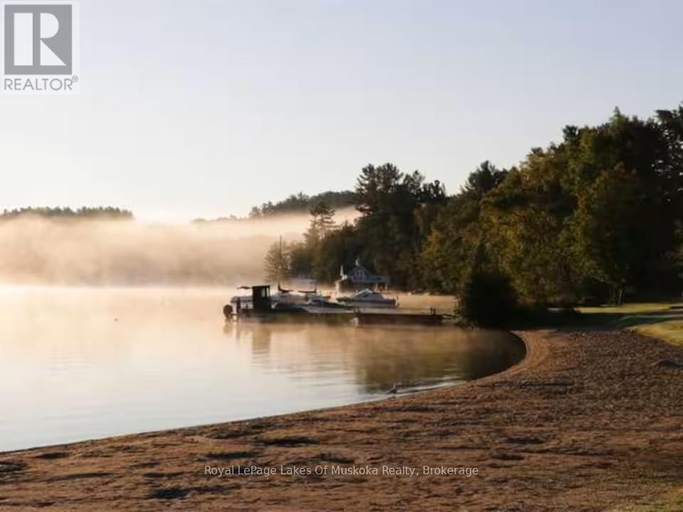 886 Muskoka 10 Road, Huntsville, Ontario P0B 1L0 - Photo 42 - X13865918