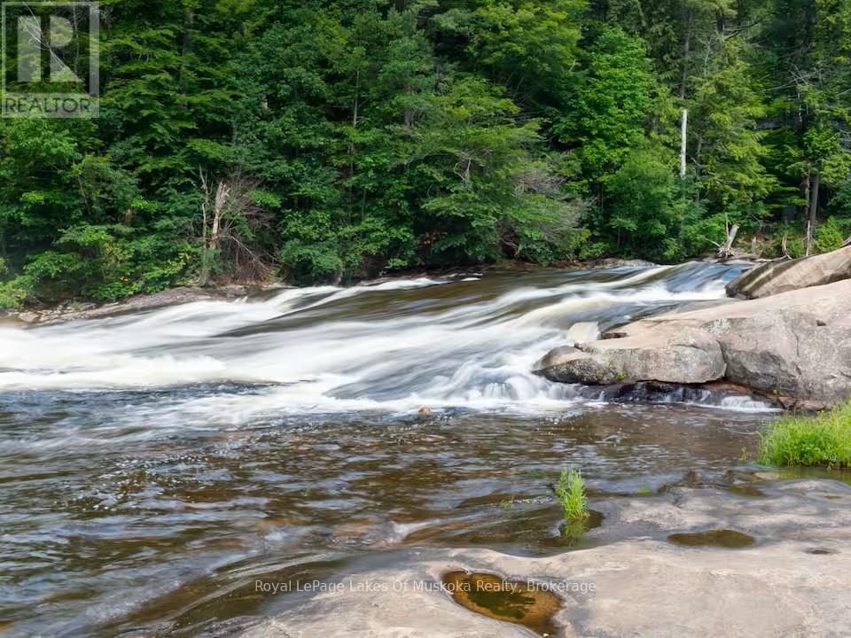886 Muskoka 10 Road, Huntsville, Ontario P0B 1L0 - Photo 44 - X13865918
