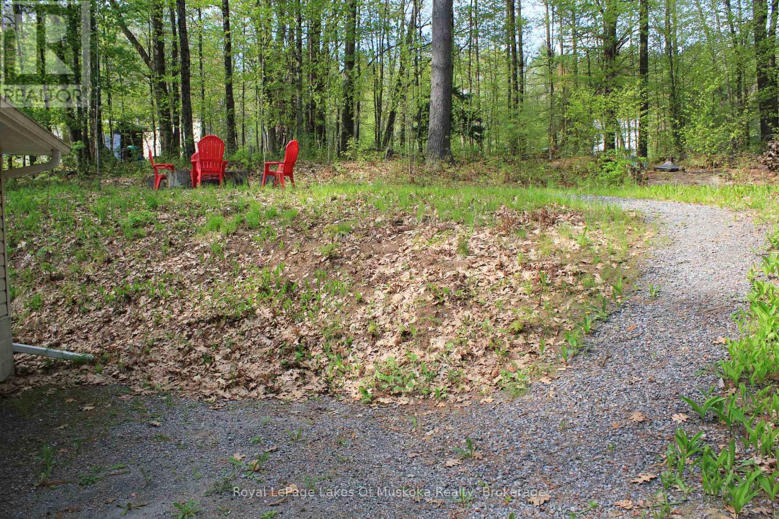 886 Muskoka 10 Road, Huntsville, Ontario P0B 1L0 - Photo 7 - X13865918
