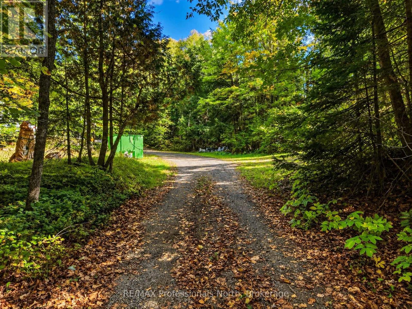 5110 Muskoka 117 Road, Lake Of Bays, Ontario P0A 1E0 - Photo 3 - X13867724