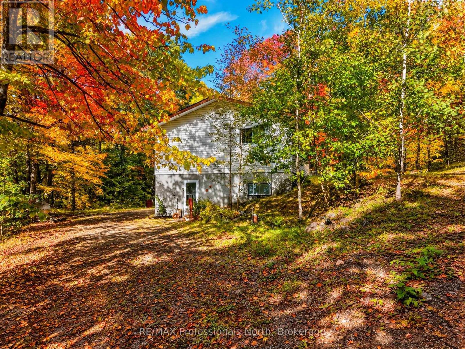 5110 Muskoka 117 Road, Lake Of Bays, Ontario P0A 1E0 - Photo 4 - X13867724