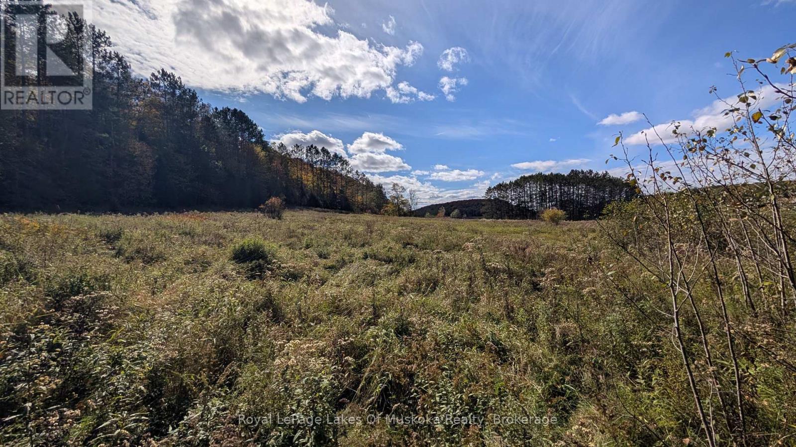 1827 Highway 141 Highway, Muskoka Lakes, Ontario P0B 1M0 - Photo 11 - X13869468