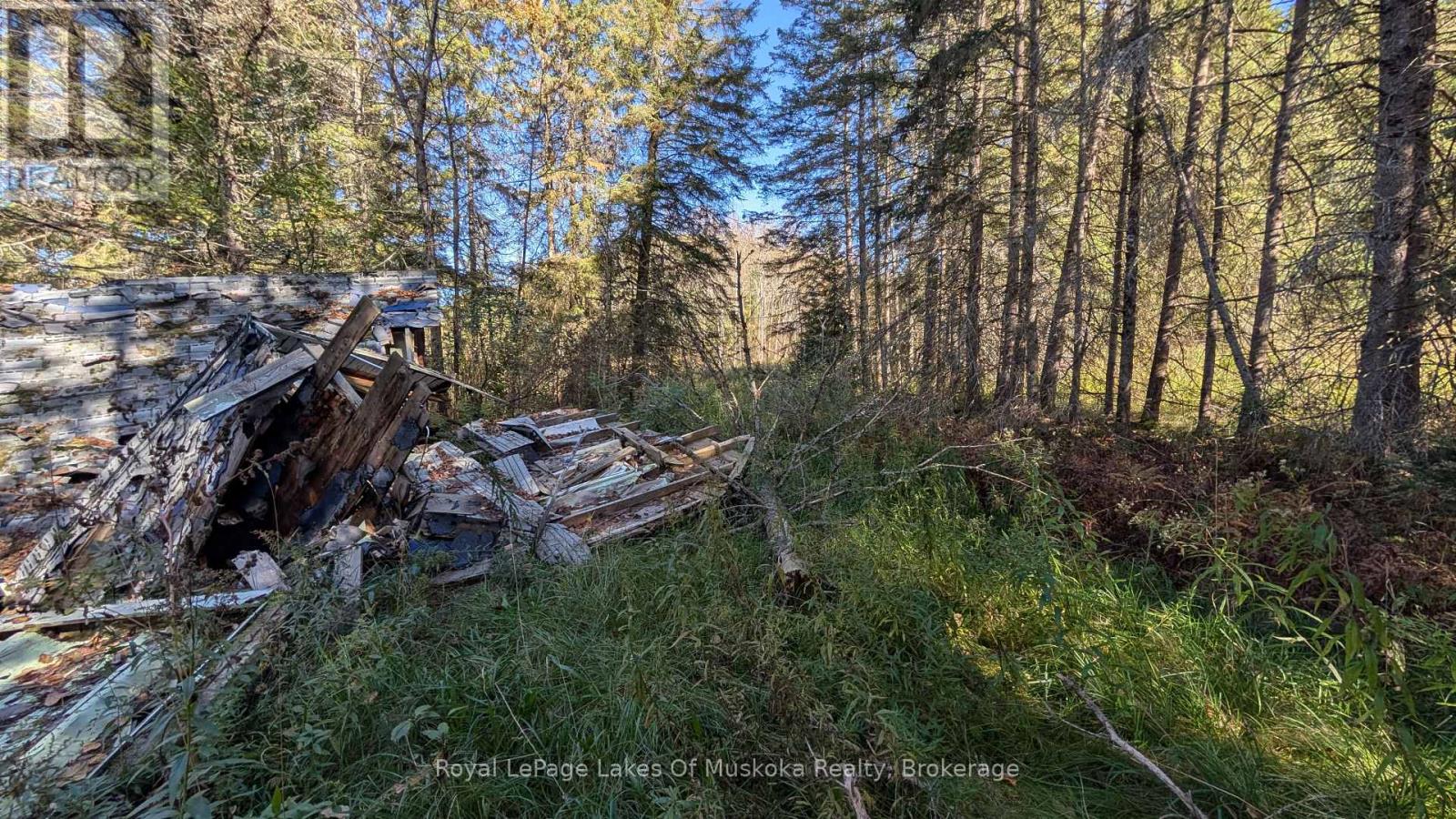 1827 Highway 141 Highway, Muskoka Lakes, Ontario P0B 1M0 - Photo 12 - X13869468