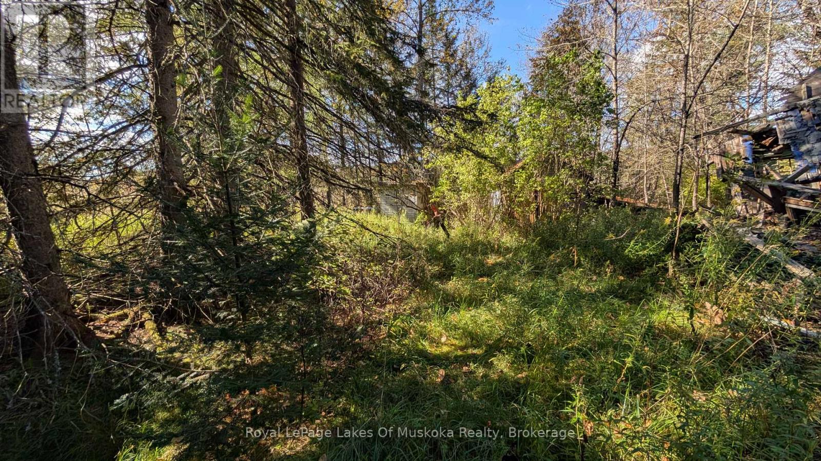1827 Highway 141 Highway, Muskoka Lakes, Ontario P0B 1M0 - Photo 14 - X13869468