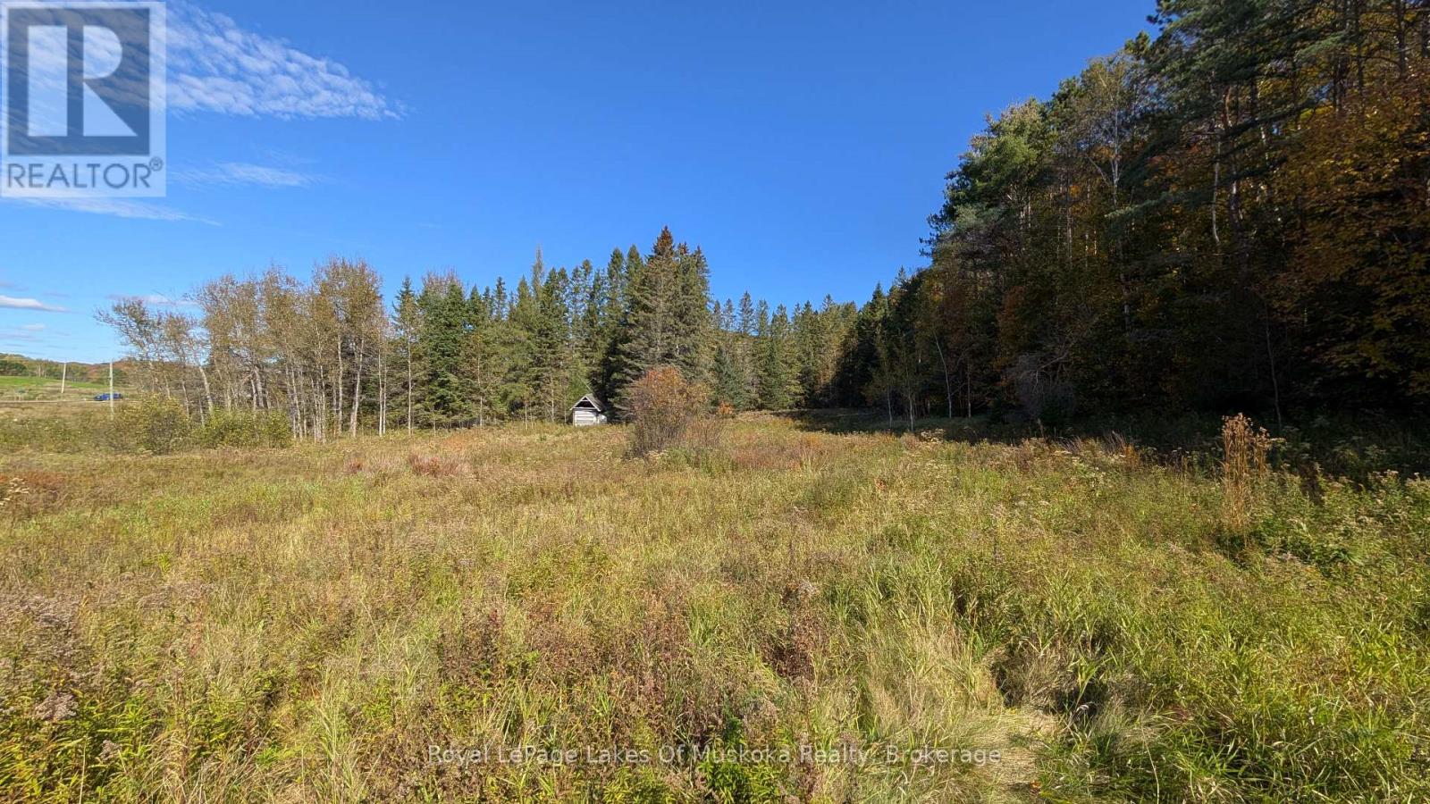 1827 Highway 141 Highway, Muskoka Lakes, Ontario P0B 1M0 - Photo 7 - X13869468