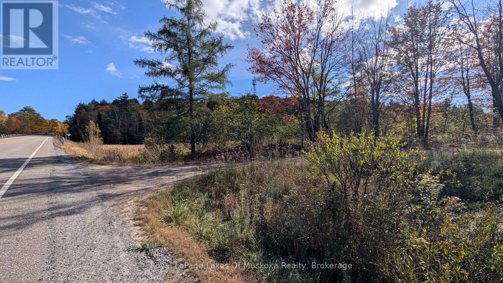 Pt Lt 14 Con B Highway 141 Highway, Muskoka Lakes, Ontario  P0B 1M0 - Photo 10 - X13869474