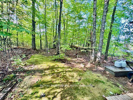 107 - 1007 Racoon Road, Gravenhurst, Ontario  P1P 0C4 - Photo 4 - X13873356