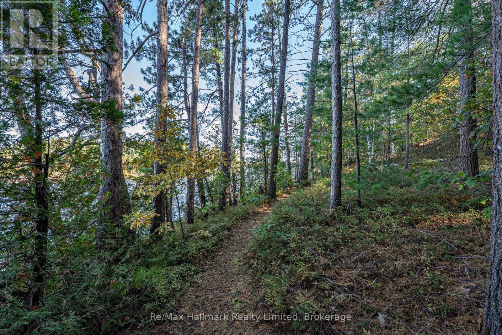 3 Island 20lm Island, Gravenhurst, Ontario  P1P 1R2 - Photo 41 - X13874968