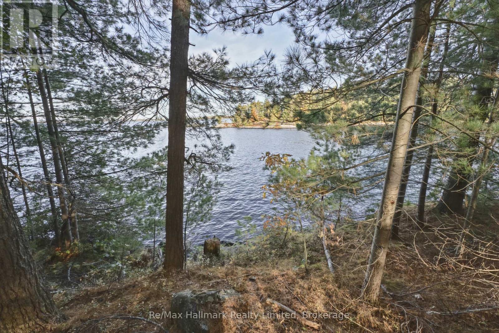 3 Island 20lm Island, Gravenhurst, Ontario  P1P 1R2 - Photo 42 - X13874968