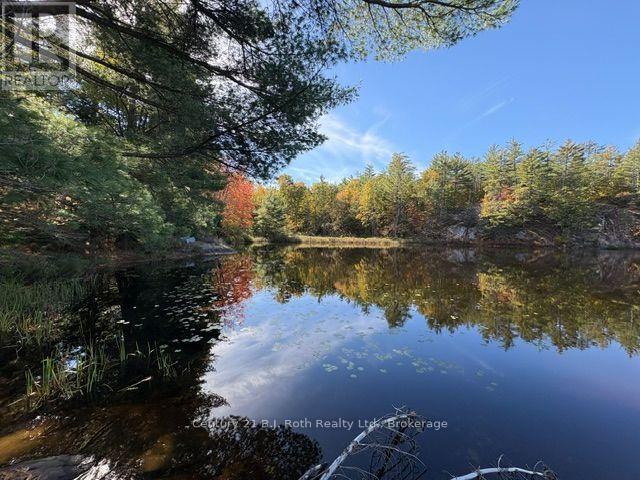 2 - 1112 Sam Cook Road, Gravenhurst, Ontario P1P 1R3 - Photo 1 - X13876498