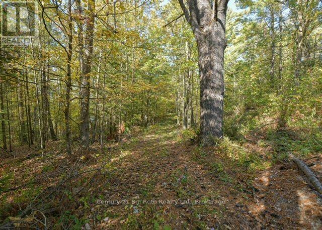 2 - 1112 Sam Cook Road, Gravenhurst, Ontario P1P 1R3 - Photo 13 - X13876498