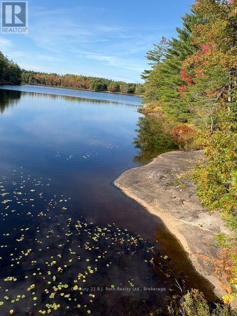 2 - 1112 Sam Cook Road, Gravenhurst, Ontario P1P 1R3 - Photo 8 - X13876498