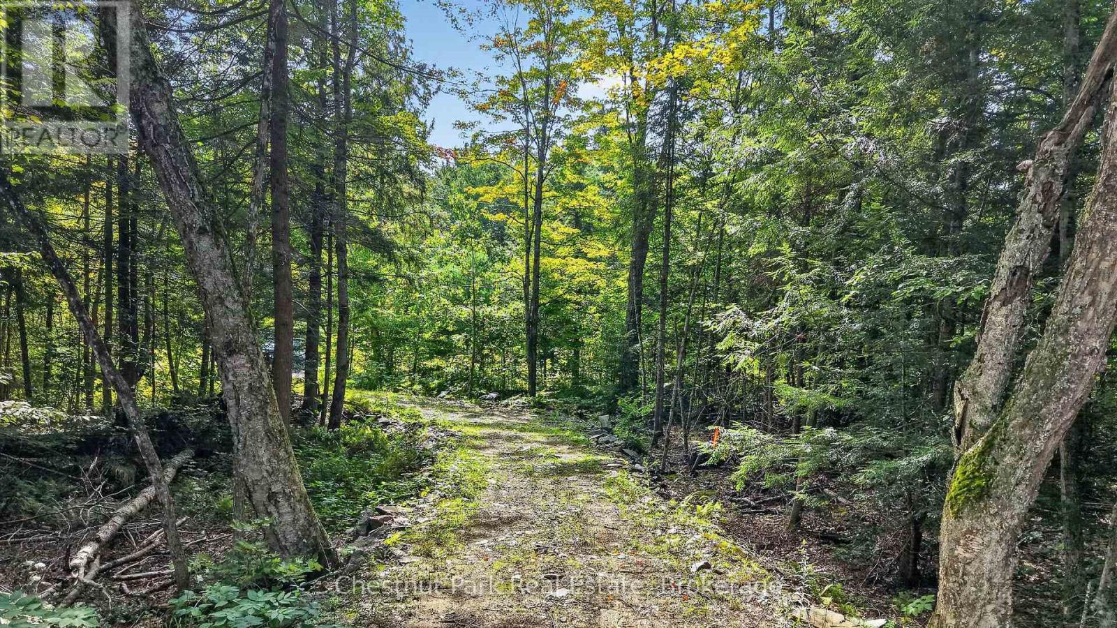 1112 Falkenburg Road, Bracebridge, Ontario  P1L 1X4 - Photo 3 - X13877826