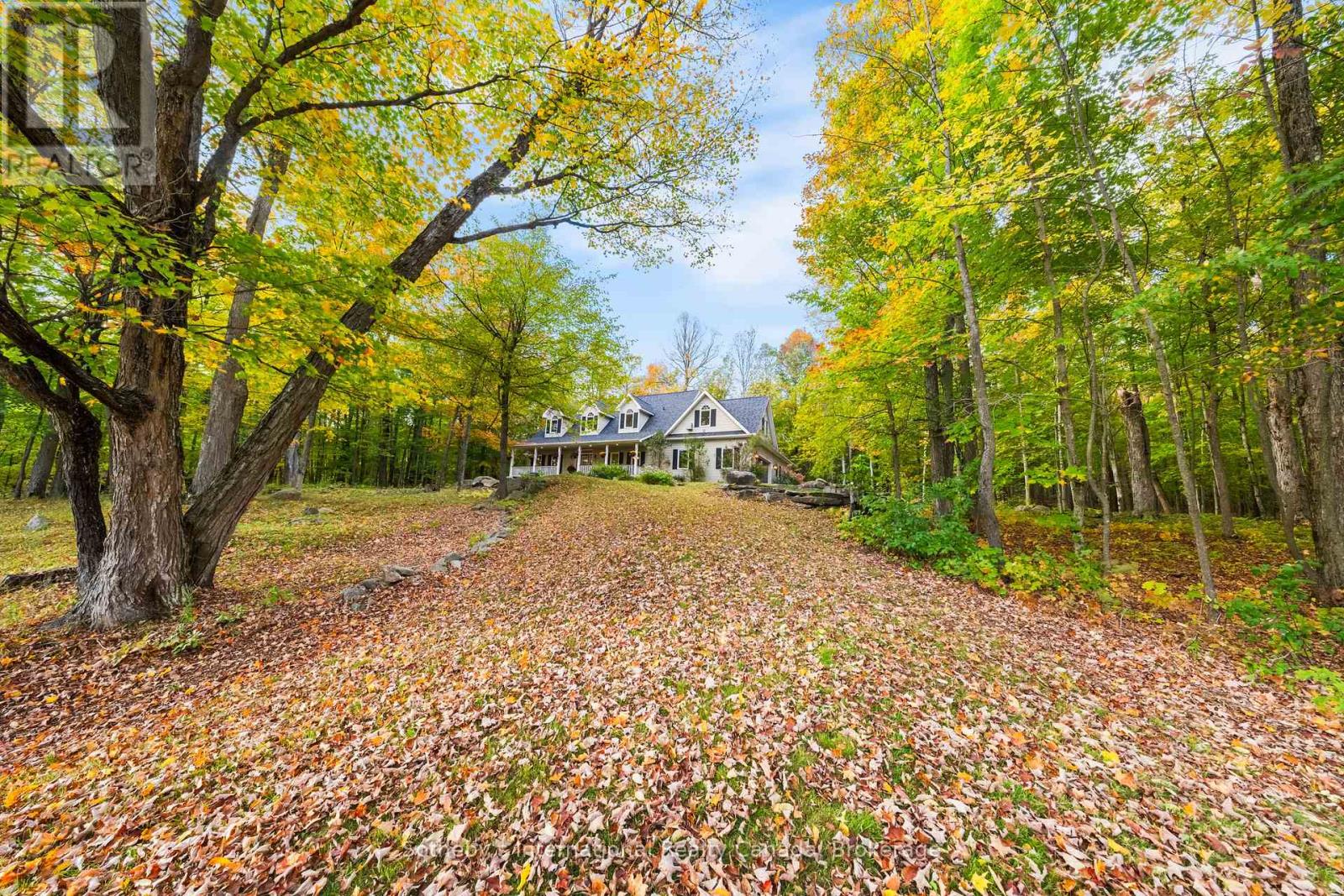 1259 Golf Course Road, Huntsville, Ontario  P1H 2J6 - Photo 4 - X13881558