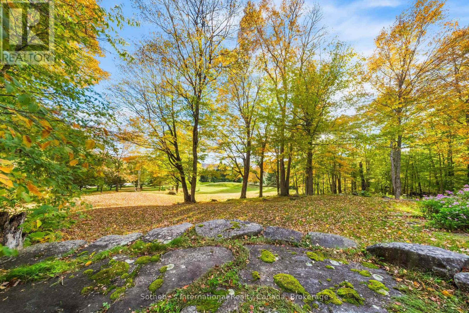 1259 Golf Course Road, Huntsville, Ontario  P1H 2J6 - Photo 8 - X13881558
