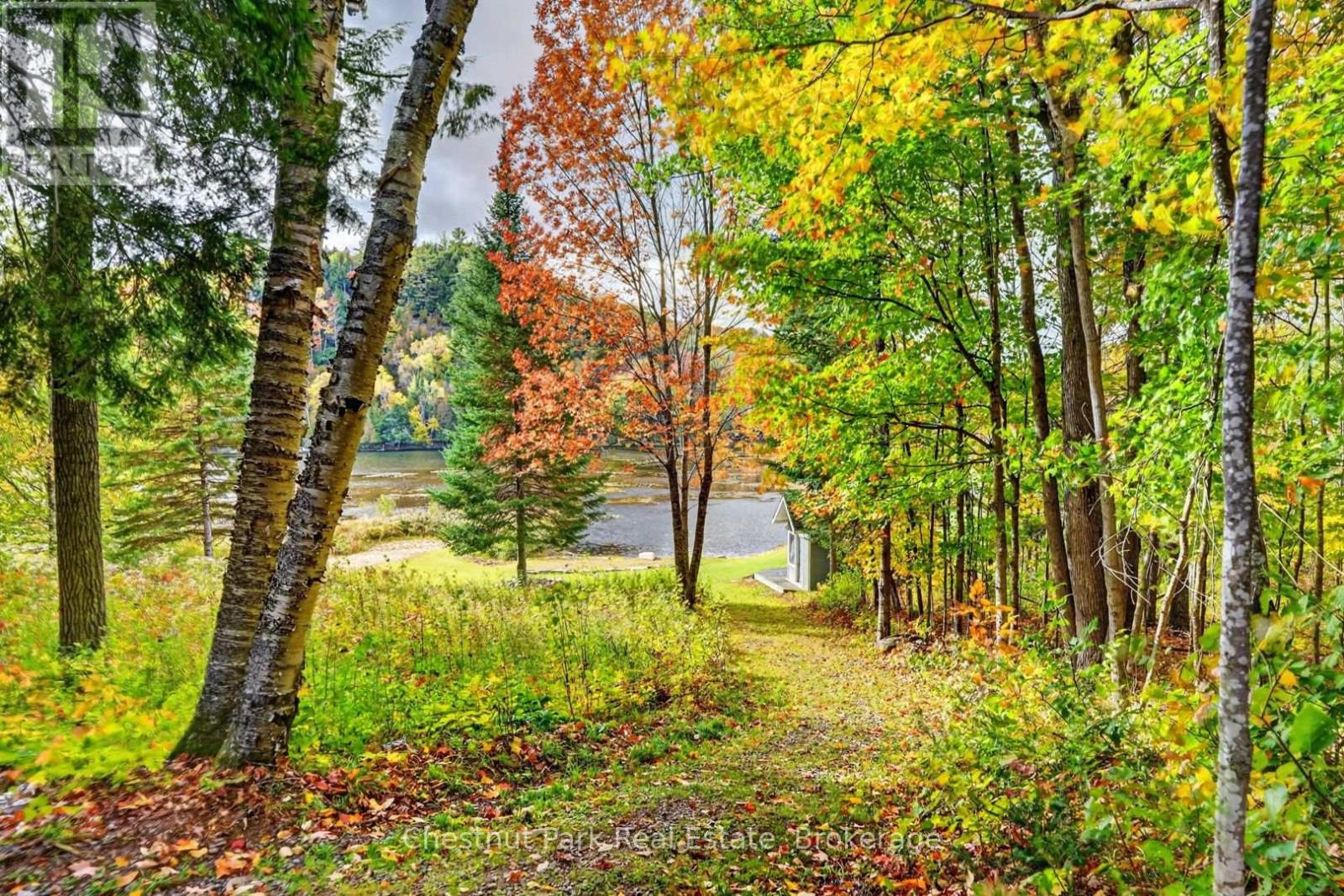 1204 Charlie Thompson Road, Lake Of Bays, Ontario  P0A 1H0 - Photo 40 - X13884394