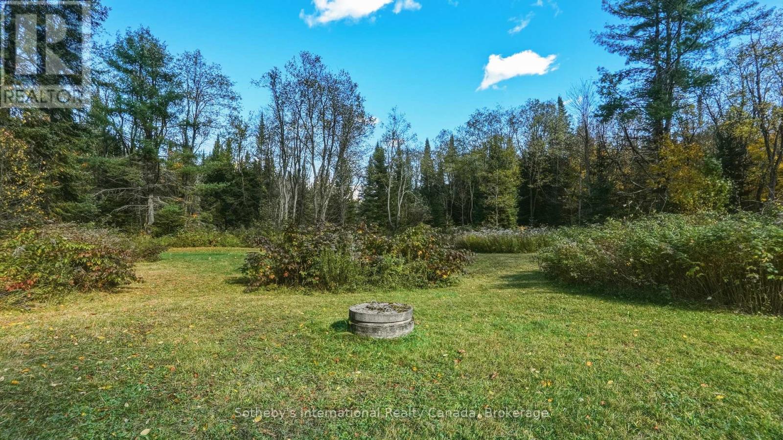 1229 Miriam Drive, Bracebridge, Ontario P1L 1X1 - Photo 38 - X14034184