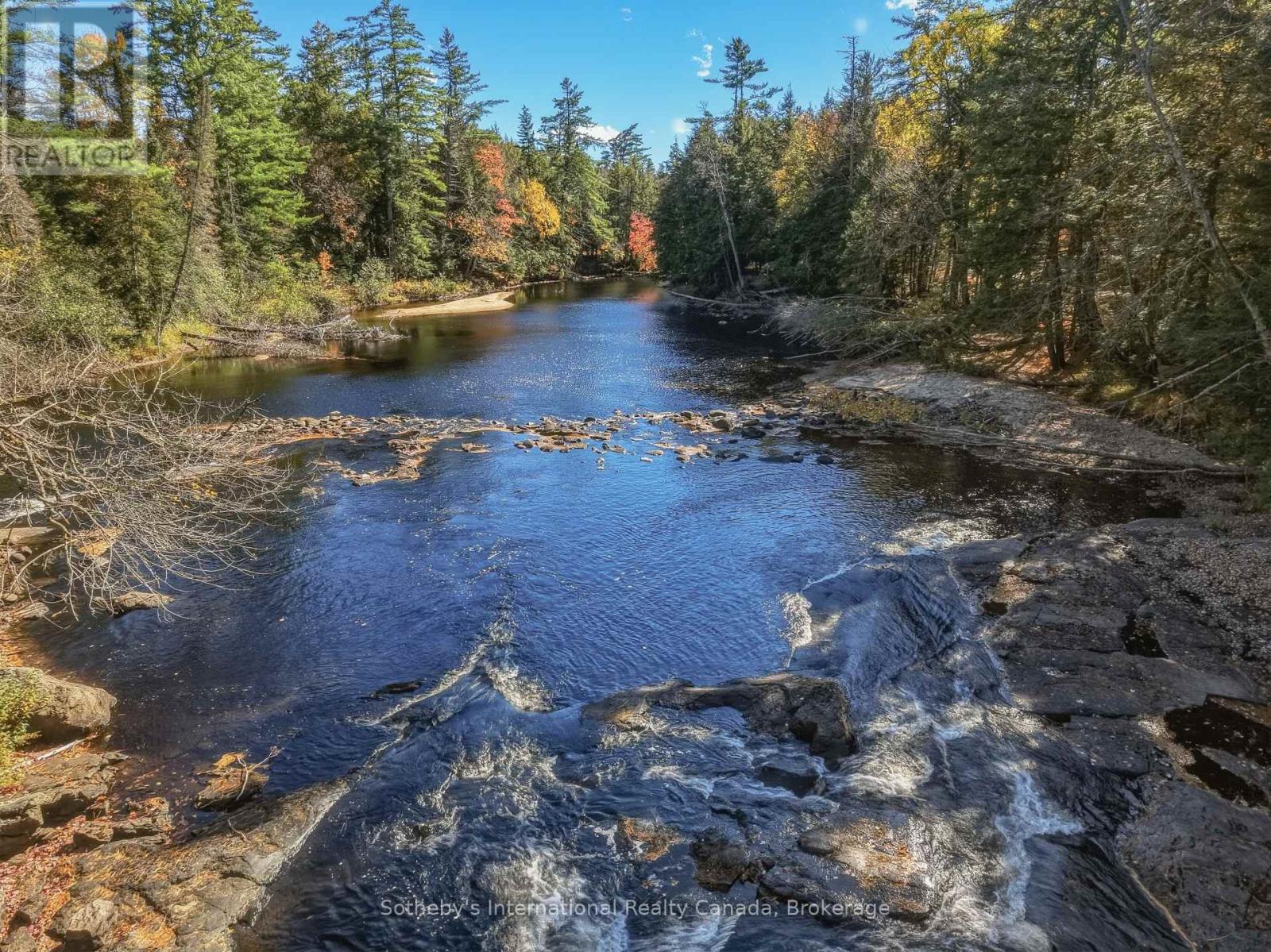 1229 Miriam Drive, Bracebridge, Ontario P1L 1X1 - Photo 45 - X14034184