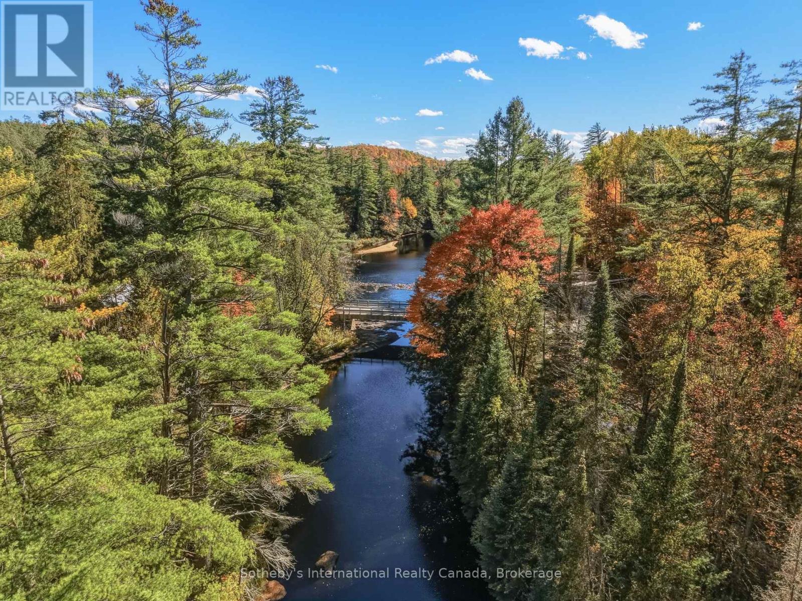 1229 Miriam Drive, Bracebridge, Ontario P1L 1X1 - Photo 50 - X14034184