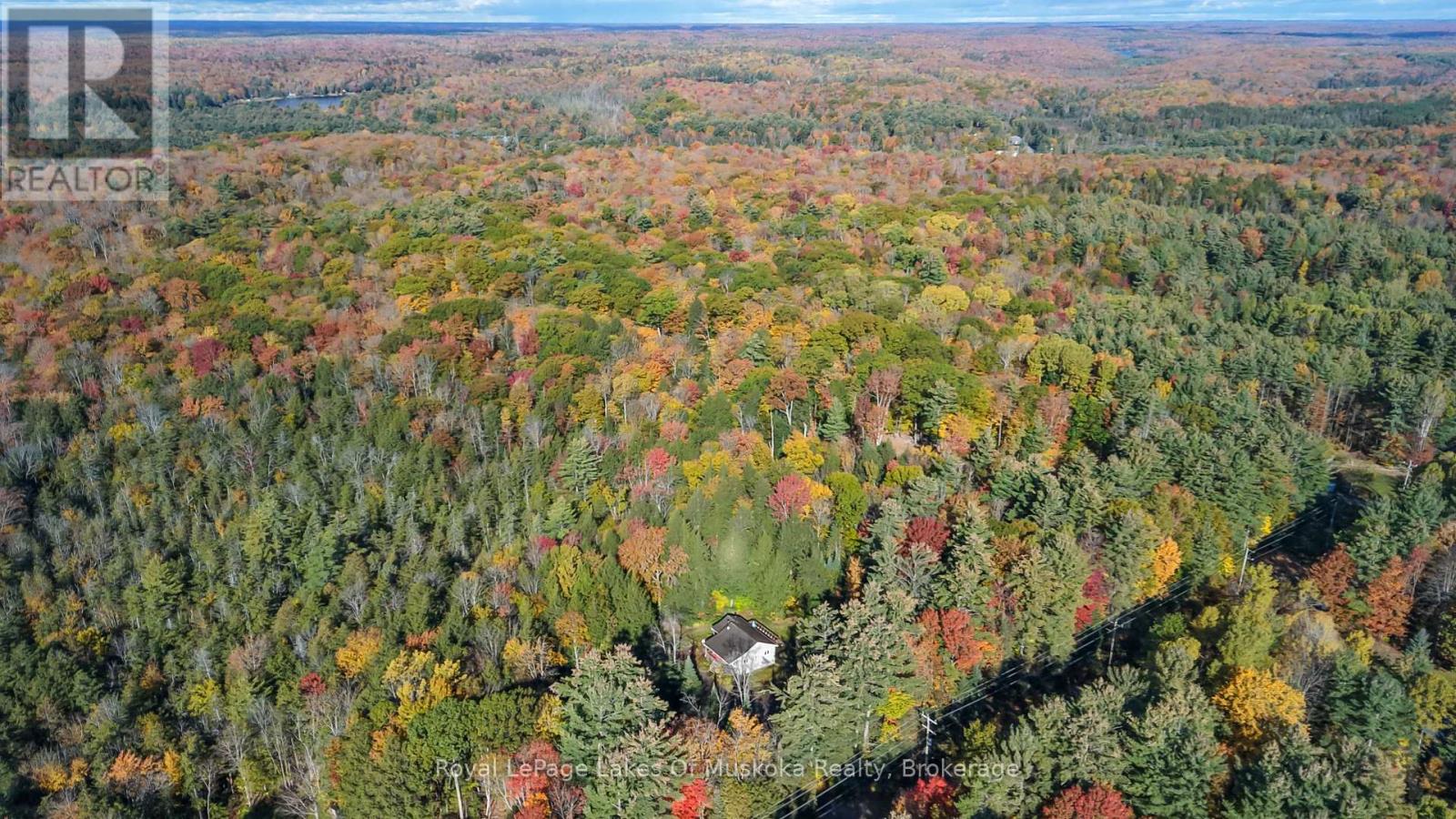 2726 Old Muskoka Road, Huntsville, Ontario P0B 1M0 - Photo 34 - X14082272