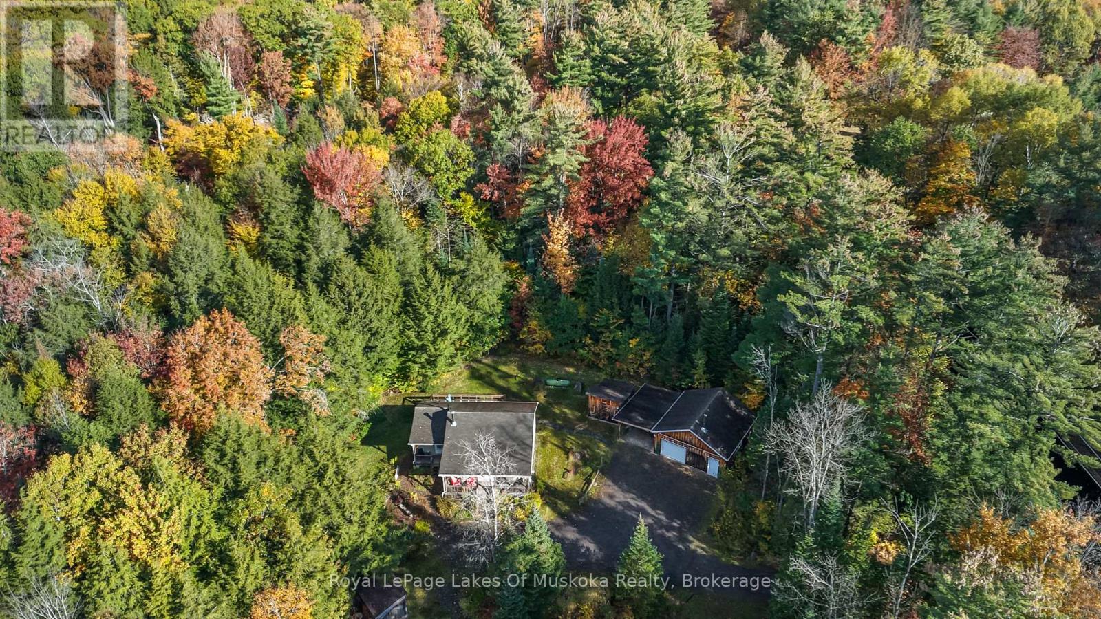 2726 Old Muskoka Road, Huntsville, Ontario P0B 1M0 - Photo 36 - X14082272