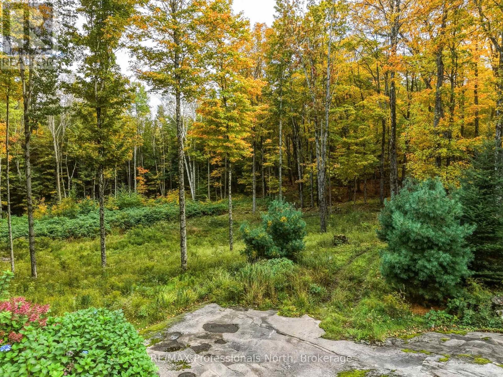 1266 North Shore Road, Muskoka Lakes, Ontario P0B 1M0 - Photo 2 - X14085882