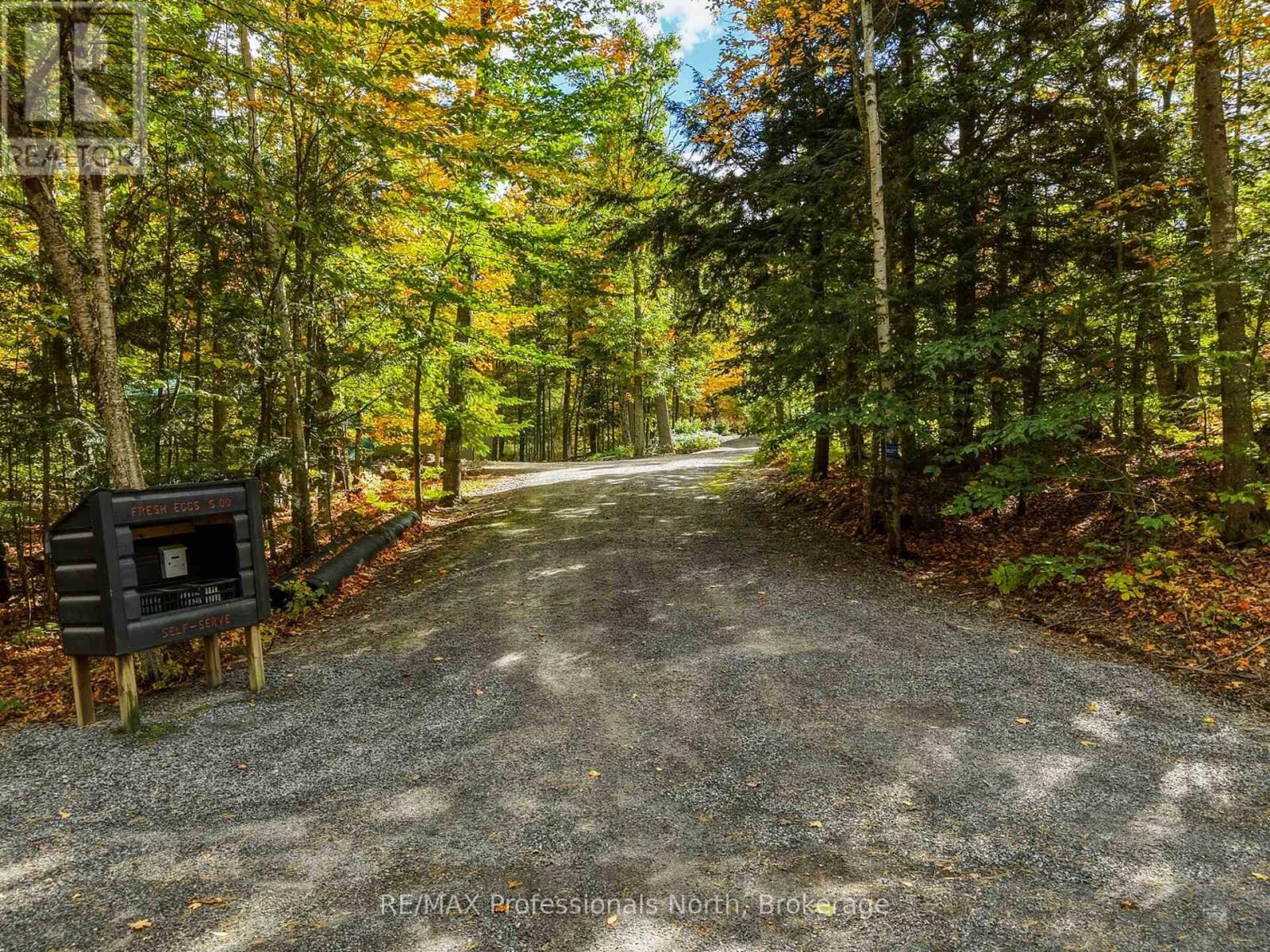 1266 North Shore Road, Muskoka Lakes, Ontario P0B 1M0 - Photo 3 - X14085882